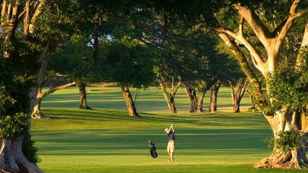 Seorang pemain golf yang sedang berusaha memukul bola melewati pohon